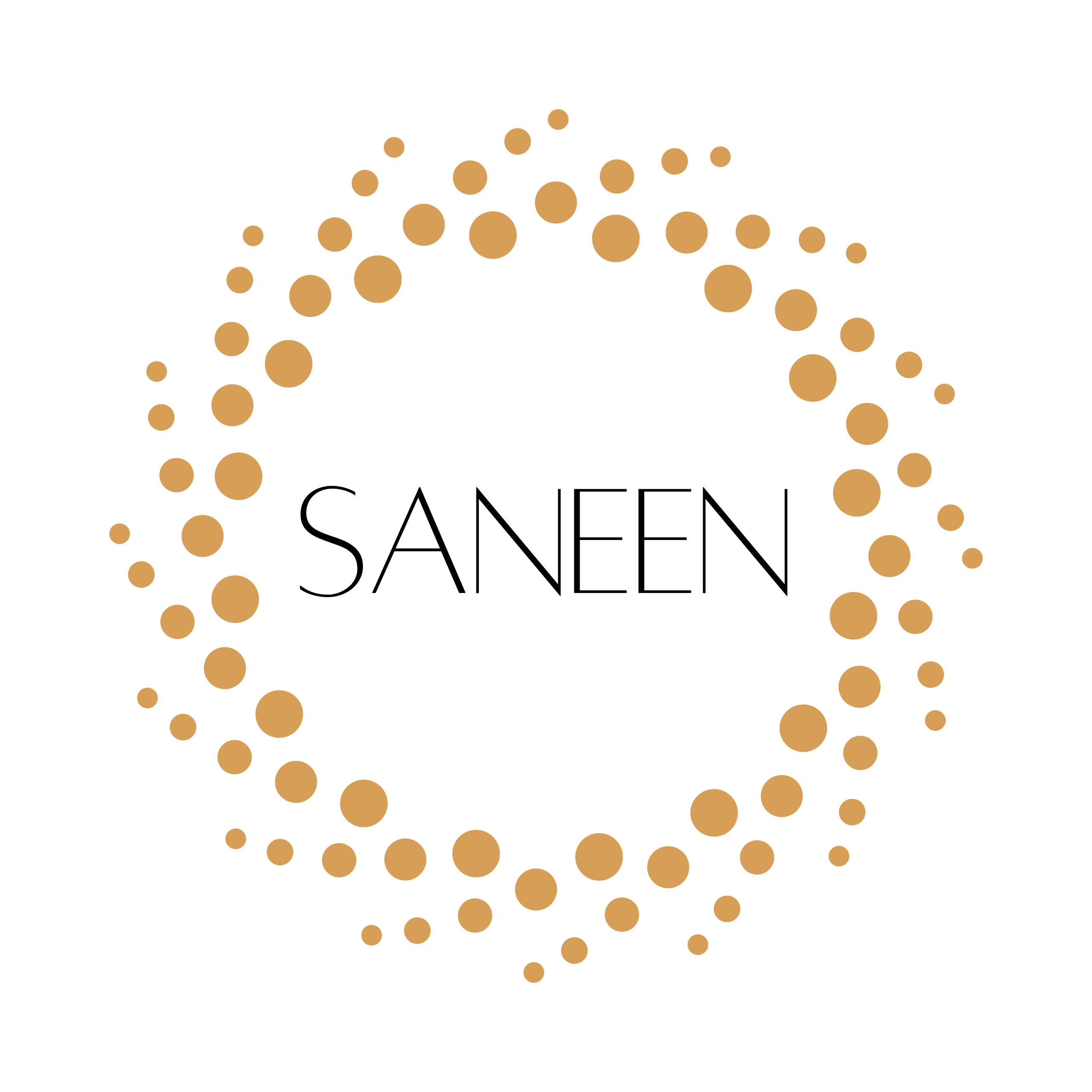 Saneen Brand Logo